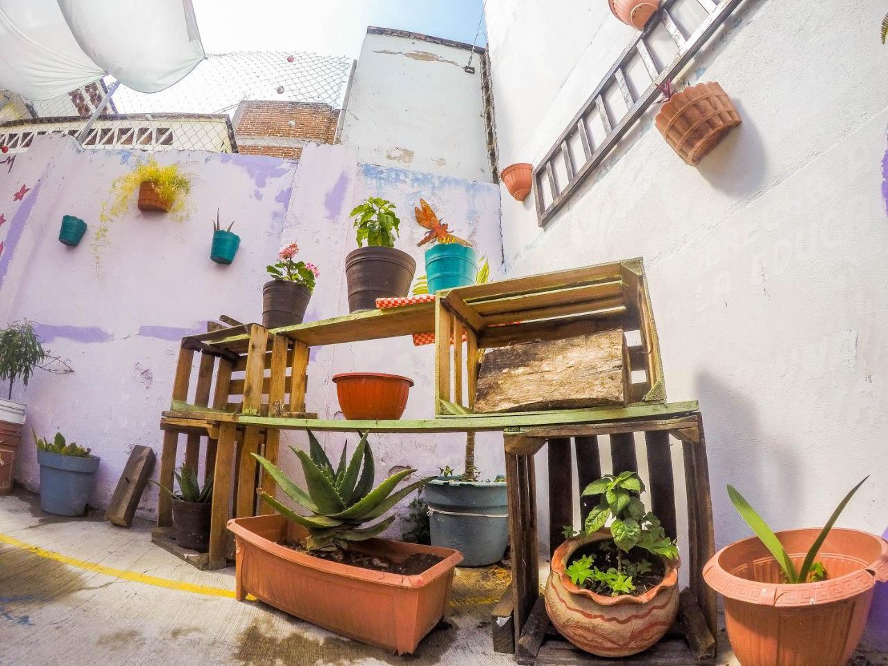 Casa Papa Chango San Cristóbal de Las Casas Zewnętrze zdjęcie